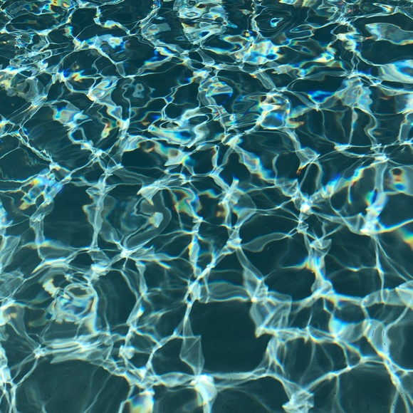 Meet your Posher, Brianna - Picture 1 of 1